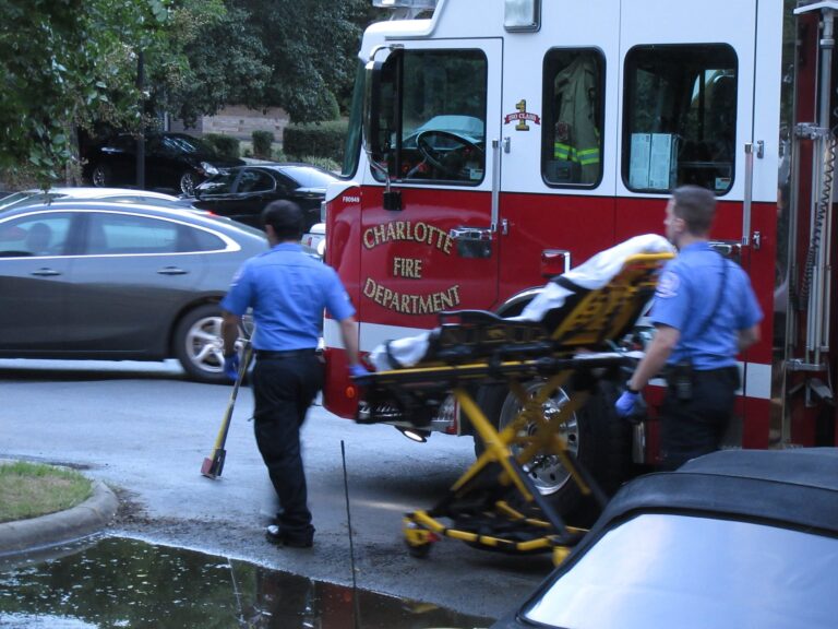 48370948_2013557855402959_4924741481643638784_n