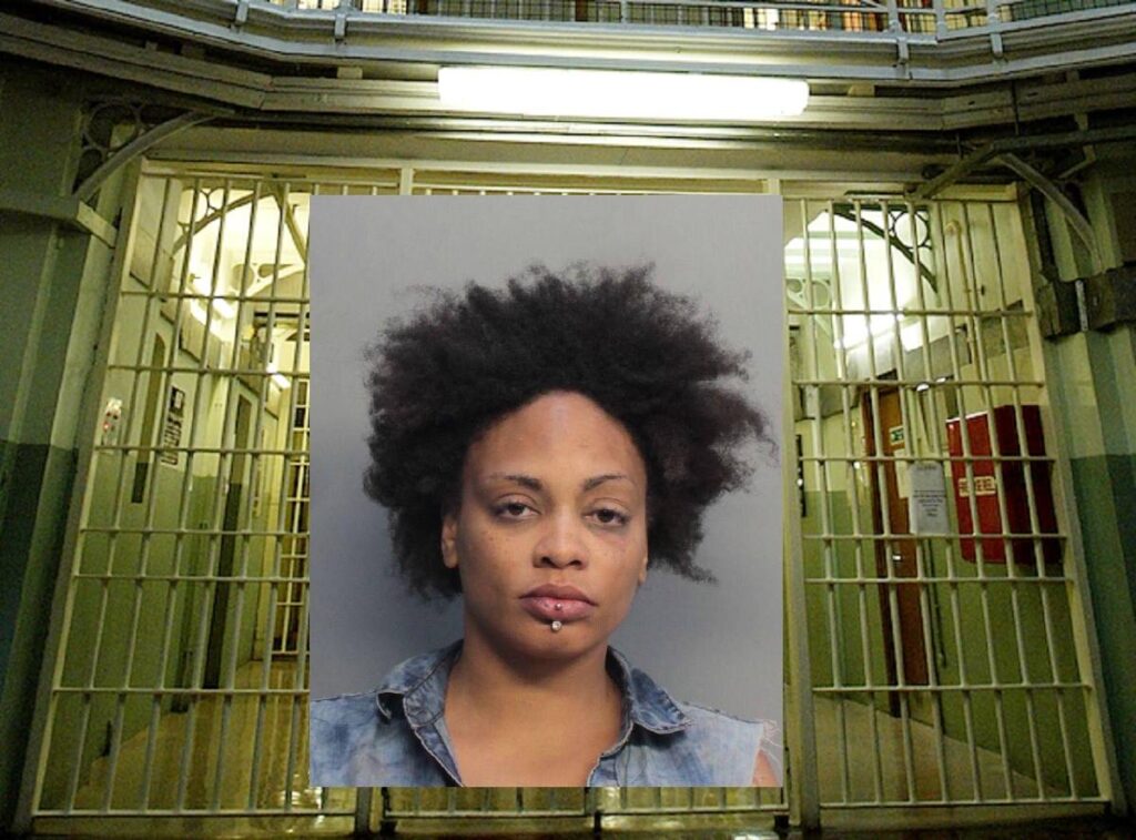 49790922_2051234361635308_4968015540598603776_n