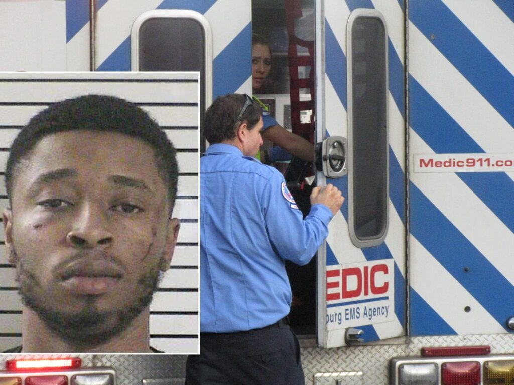 49946702_2053127731445971_6866496024366546944_n