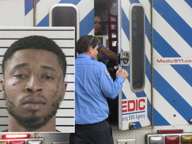 49946702_2053127731445971_6866496024366546944_n