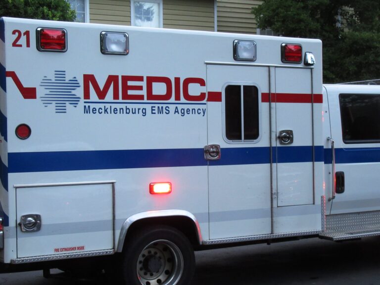 50301893_2063408217084589_3301891086737211392_n