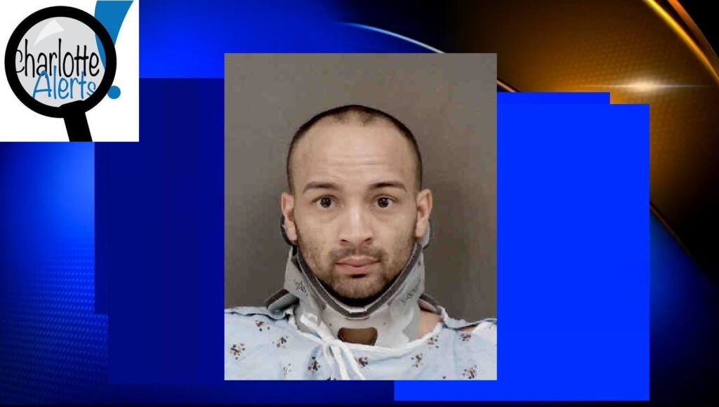 52115525_2093675564057854_5204194752823558144_n