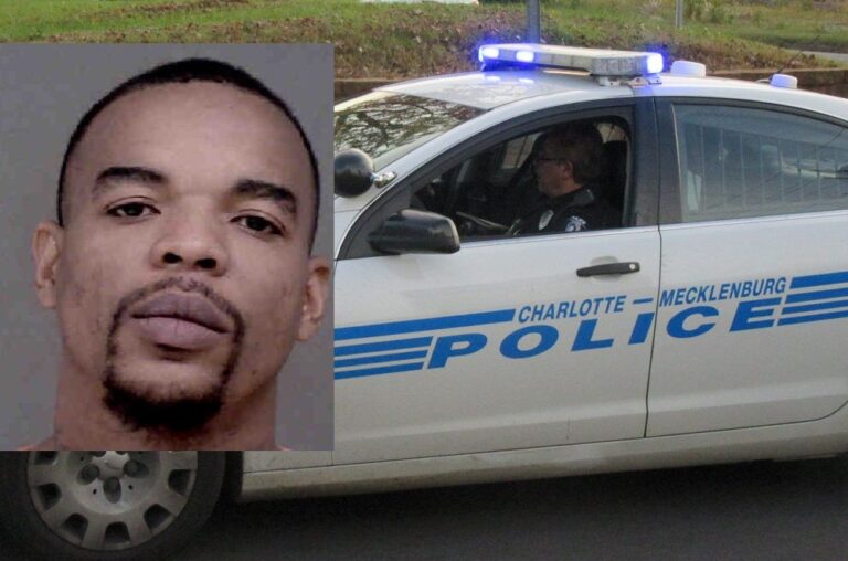 52716949_2107717839320293_9055756681815785472_n