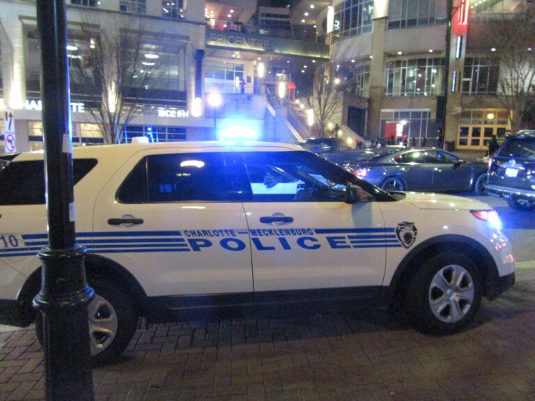 53161756_2124288157663261_5962972365716455424_n