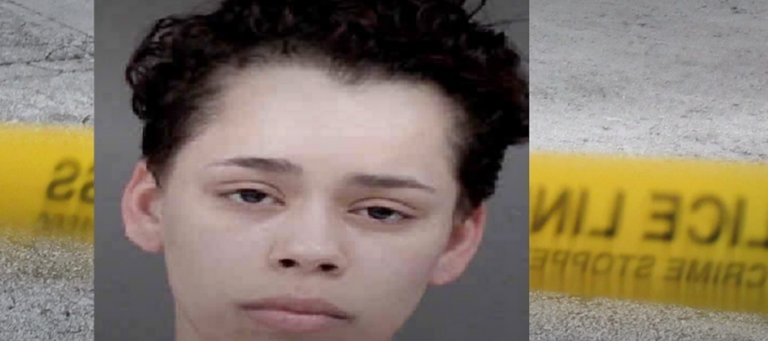 Screenshot 2025-02-26 at 05-27-28 WOMAN KILLS BOYFRIEND IN DOMESTIC DISPUTE - Charlotte Alerts