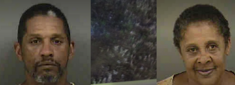 Screenshot 2025-02-26 at 06-27-49 MAN ARRESTED IN MURDER OF 71-YEAR-OLD GRANDMOTHER - Charlotte Alerts