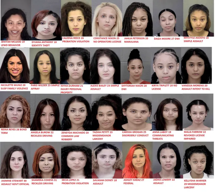 MTgyNjYyNzAzMTY3MzE3NDEx