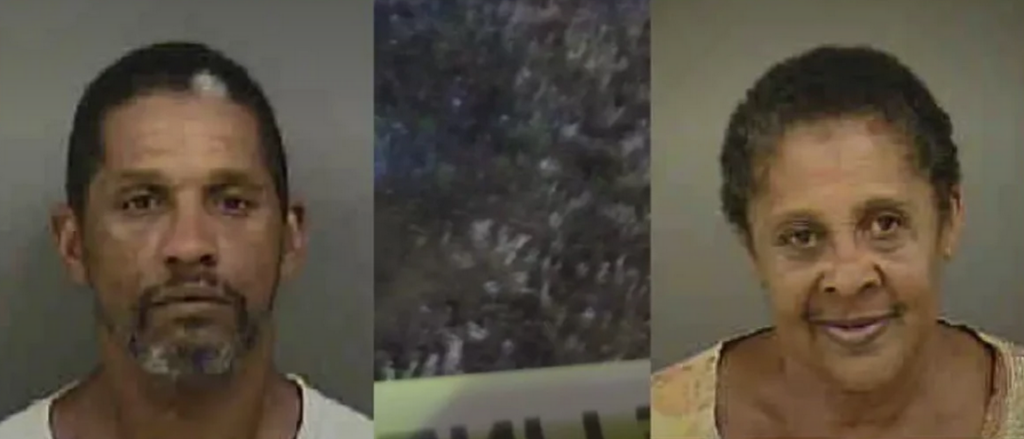 Screenshot 2025-02-27 at 01-00-13 BLACK MAN WRONGFULLY ARRESTED IN MURDER OF ELDERLY WOMAN VIDEO PROVES INNOCENCE - Charlotte Alerts