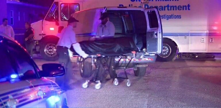 66634224_2345247362234005_2692407138348695552_n