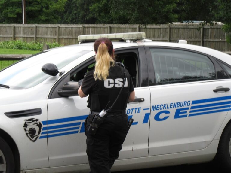 67088875_2354451204646954_1350226856166555648_n