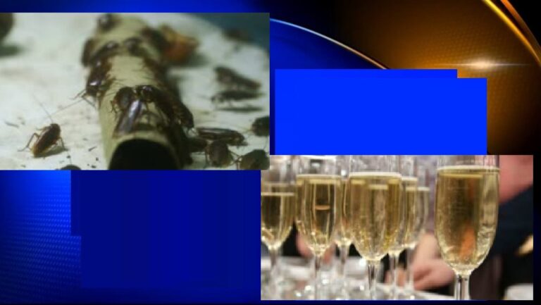 67245800_2372134906211917_3977558329378471936_n