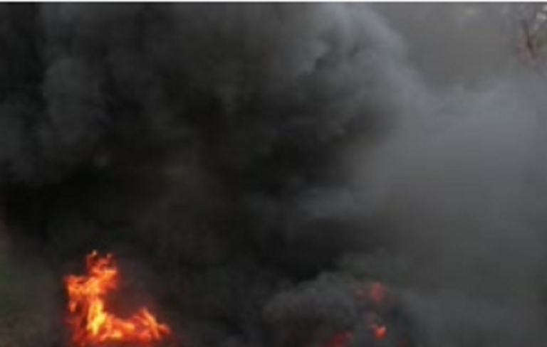 68703887_2404321102993297_2158717641768828928_n