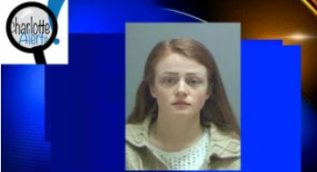 Screenshot 2025-03-03 at 05-10-47 Search for FEMALE BABYSITTER ABUSES TWIN BABIES CAUGHT ON CAMERA KICKING & COVERING MOUTHS - Charlotte Alerts