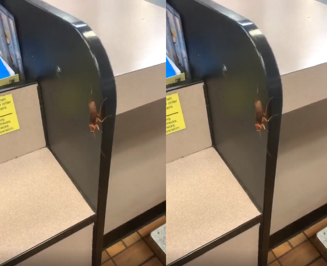 119466374_3353801048045293_583714695718307157_n