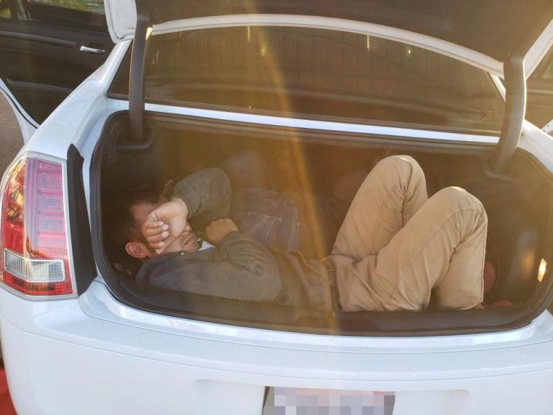 aliens in trunk