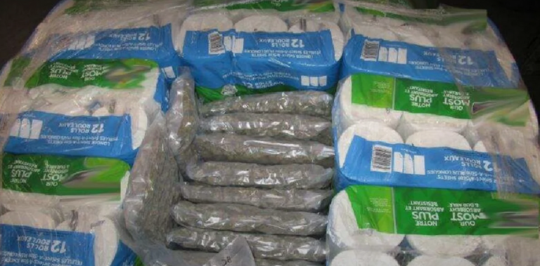 Screenshot 2025-02-24 at 01-17-23 $2.4 MILLION IN MARIJUANA FOUND IN PAPER TOWEL SHIPMENT ON 18-WHEELER TRUCK - Charlotte Alerts