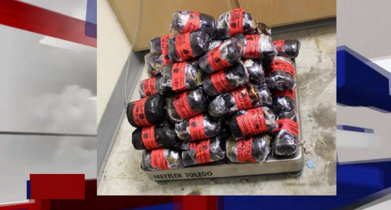 Screenshot 2025-02-24 at 02-34-07 Editing Article