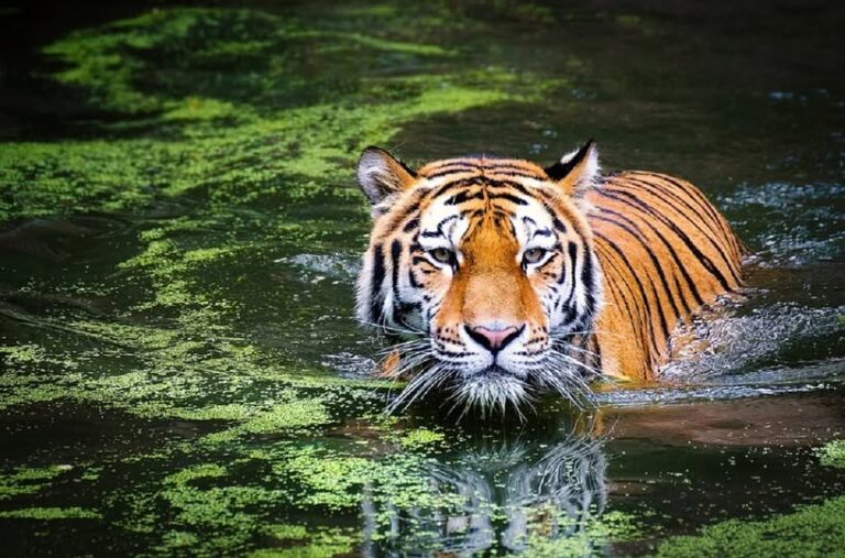 271059887_4741238812634836_5613401727858840290_n