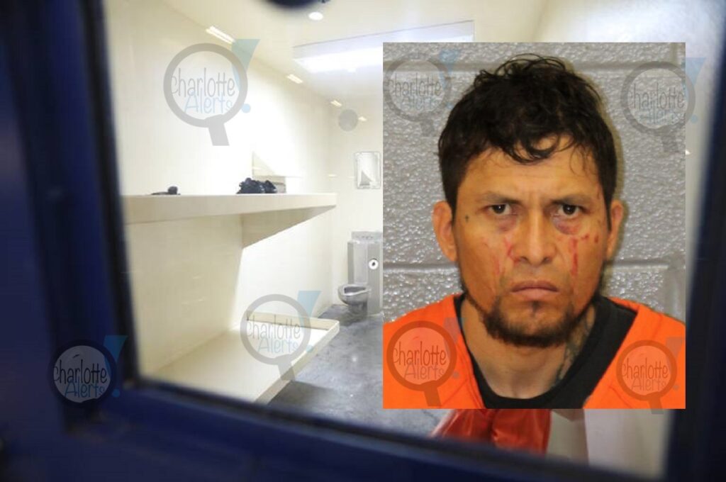 0 TK-Project STORM11