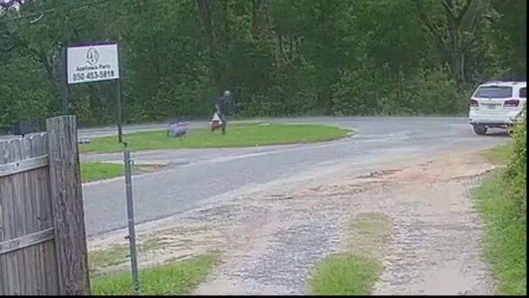 11-Year-Old Girl Escapes Attempted Kidnapping in Florida_Trim