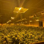 243811844_4438811846197603_7584011959366256462_n