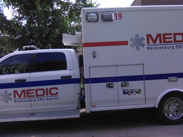 day medic image0000031g