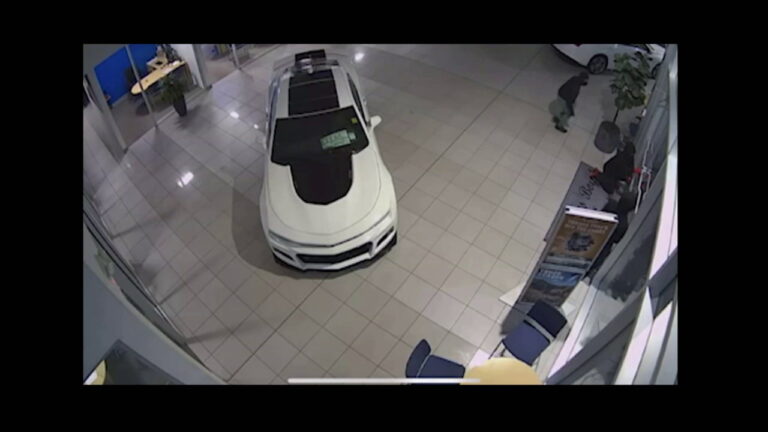 dealer Untitled Project