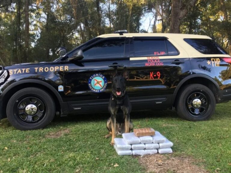 elizabeth-espinoza-arrest-k9-unit-e1578584886259