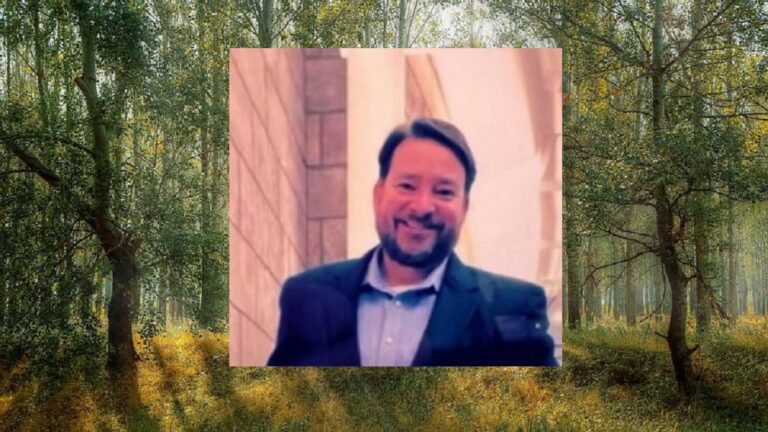 forest-1072828_960_720