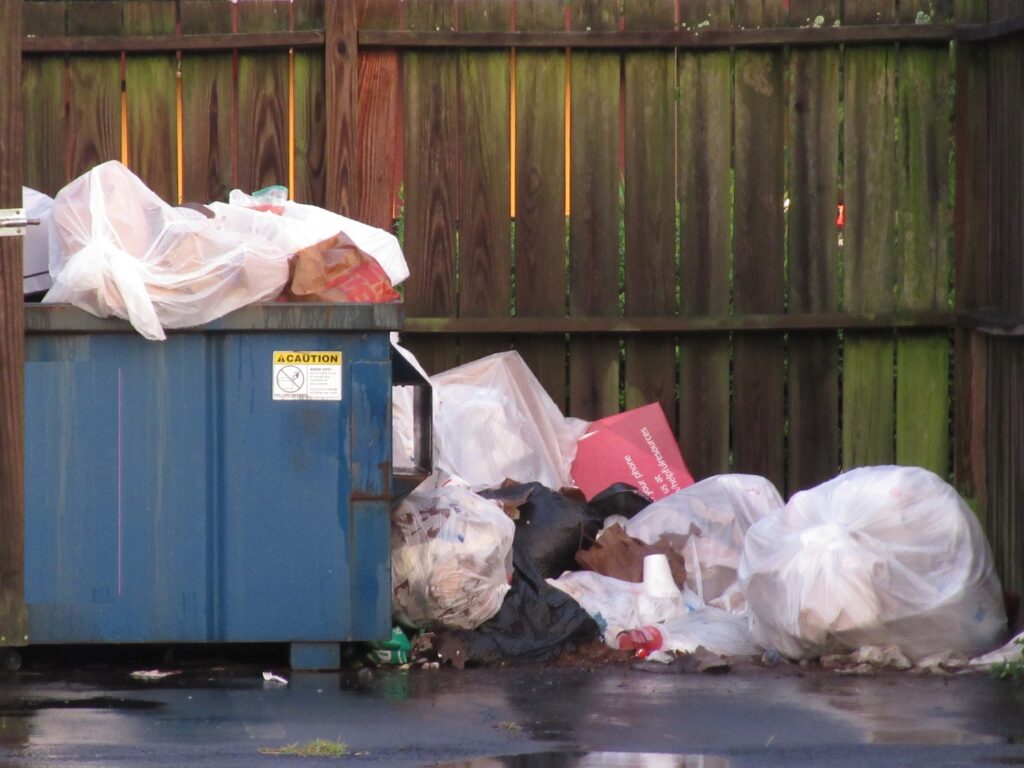 garbage IMG_0456