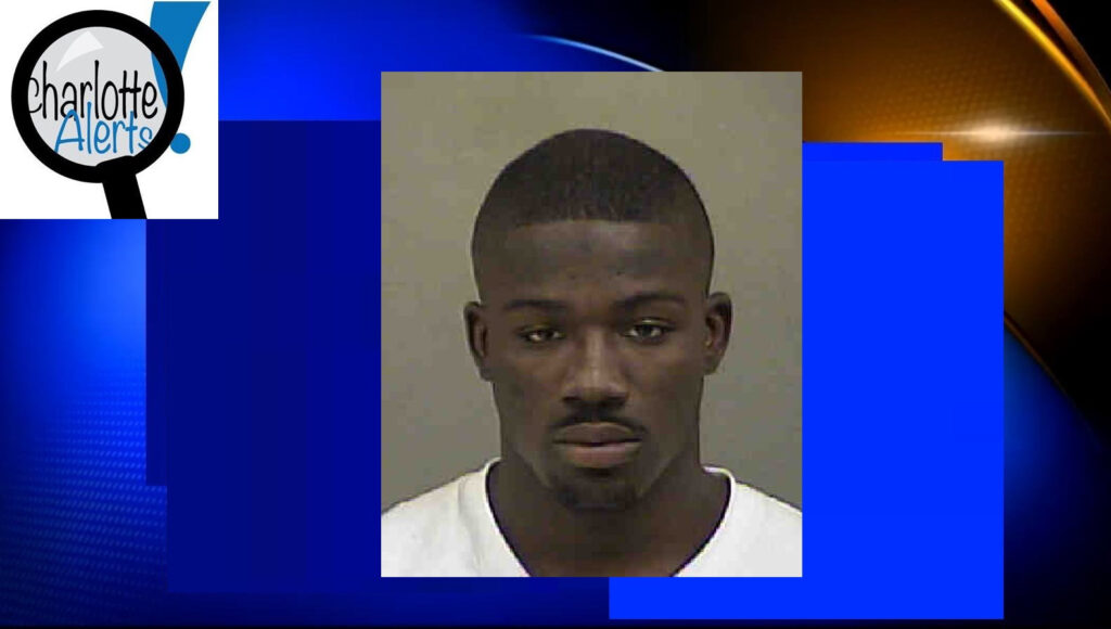 unnamed-image-file_15