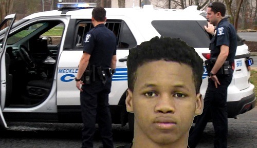 unnamed-image-file_148