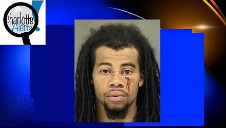 unnamed-image-file_189