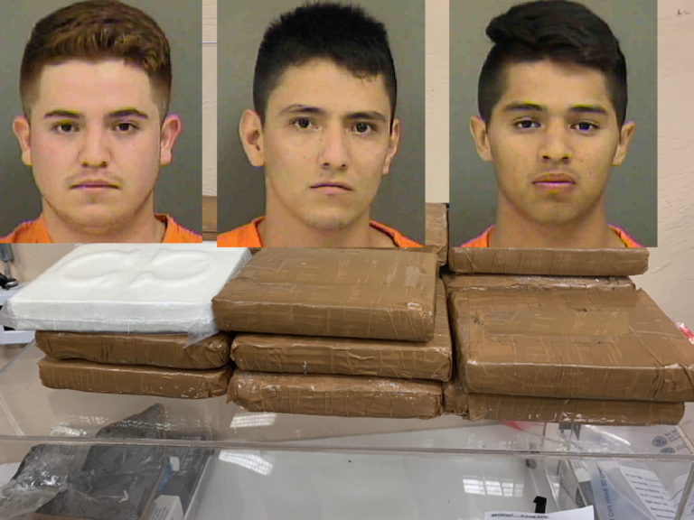 unnamed-image-file_77