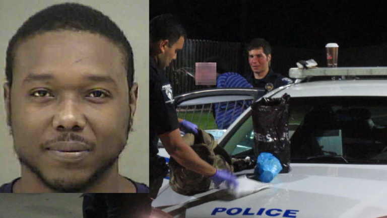 unnamed-image-file_83