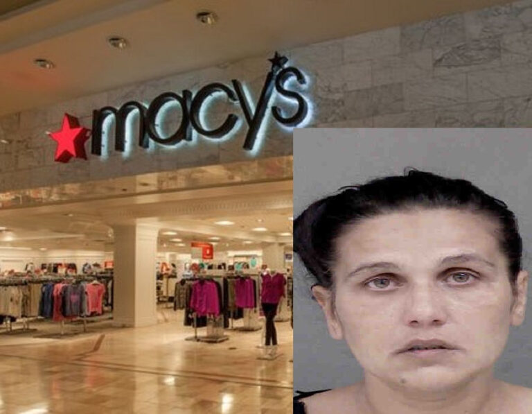 unnamed-image-file_24