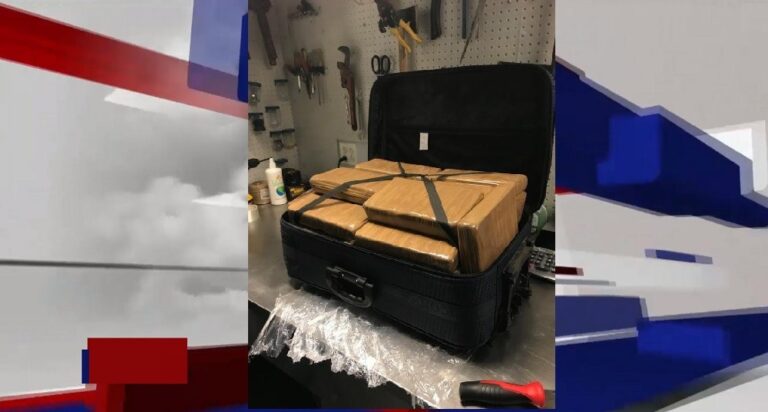 unnamed-image-file_29