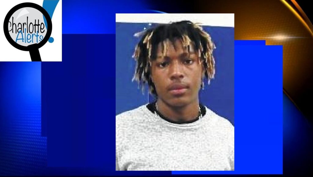 unnamed-image-file_44