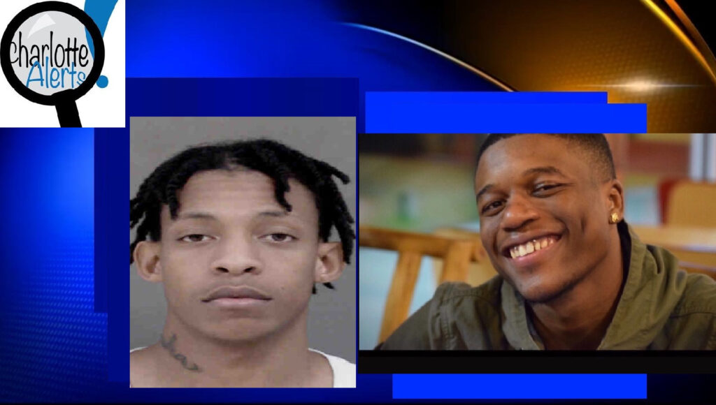 unnamed-image-file_6