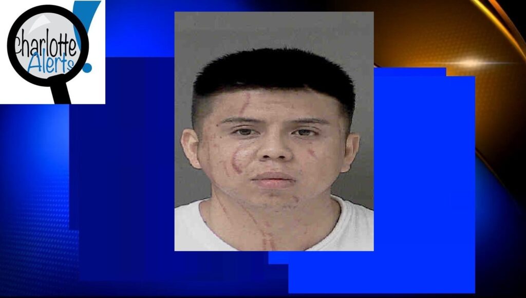 unnamed-image-file_54