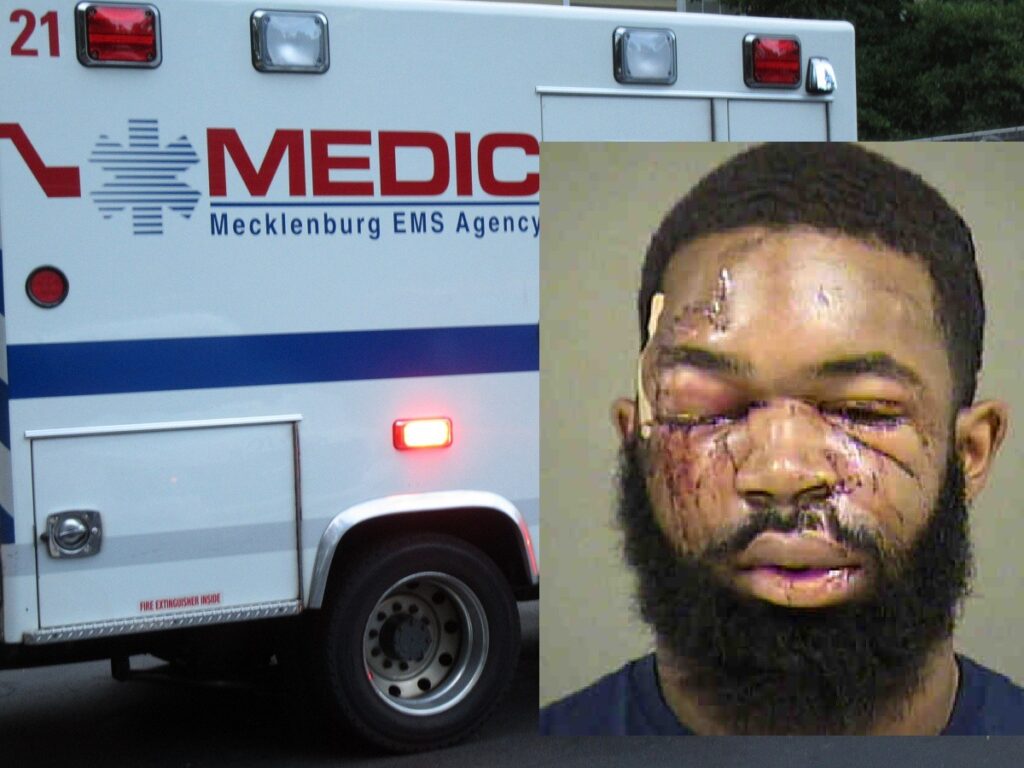 unnamed-image-file_81