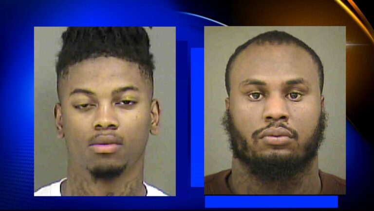 unnamed-image-file_82