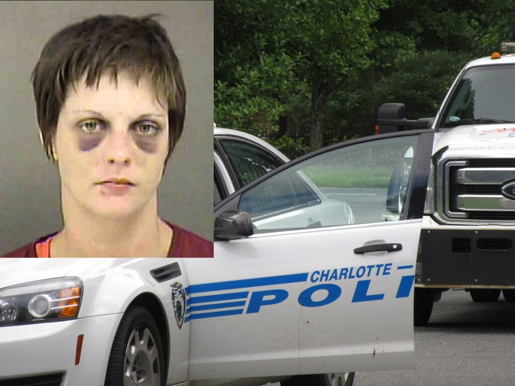 unnamed-image-file_105