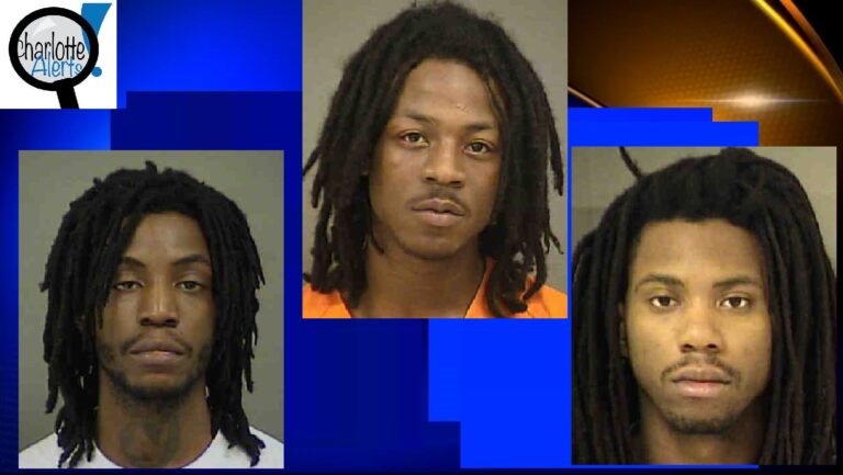 unnamed-image-file_113