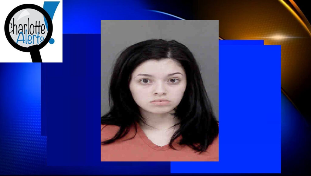 unnamed-image-file_12