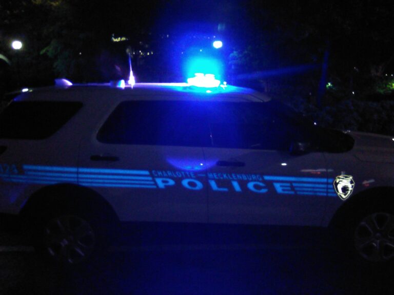 POLICE NIGHT image01