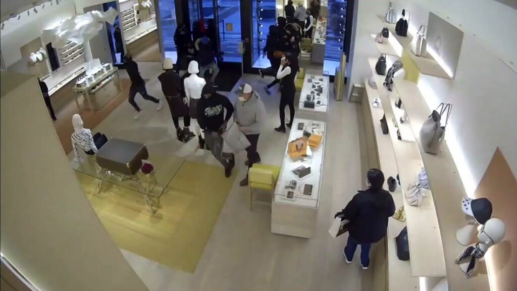 Surveillance Video From Louis Vuitton Oak Brook Store Shows